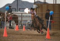 A Girl (and Her Horse) on a Competitive Shooting Course